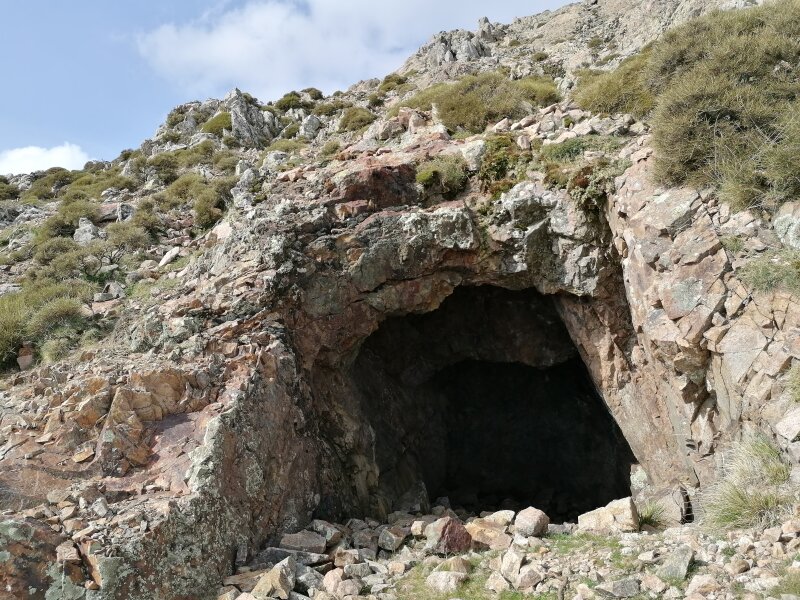 Photo 6