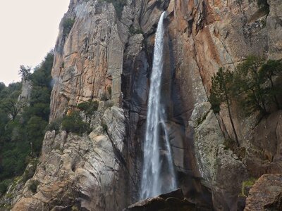 Piscia di Gallu