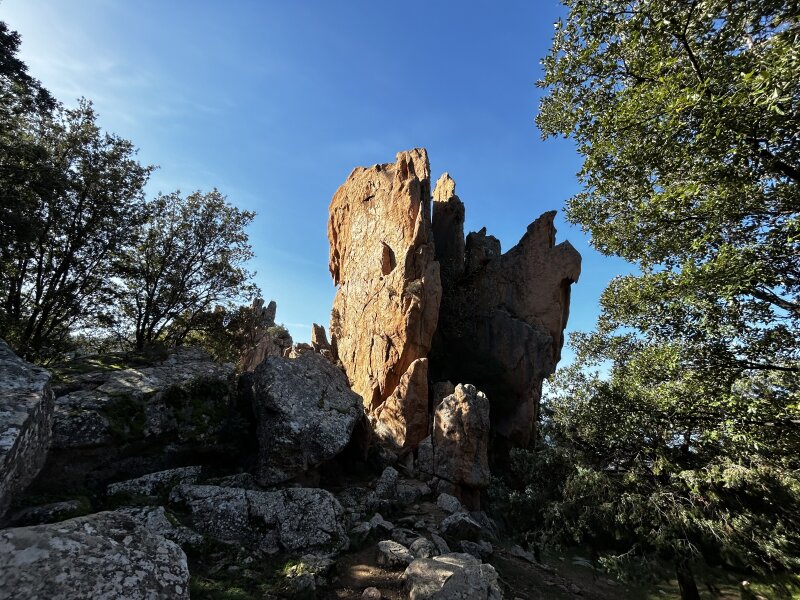 Photo 4