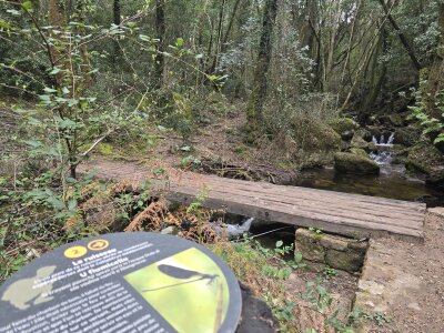 U Chjassu di i Carbunari